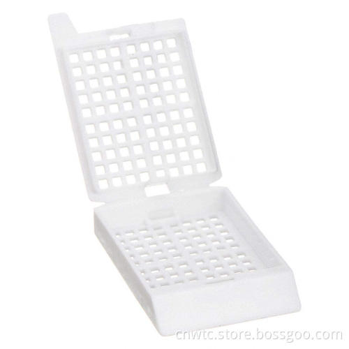Stainless Steel Histology Tissue Molds and Embedding Cassette: A Comprehensive Guide for Researchers and Pathologists